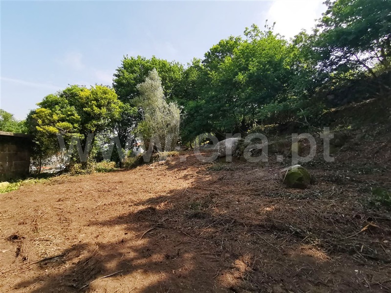 Quinta  Póvoa de Lanhoso, Garfe - 964954 - 9