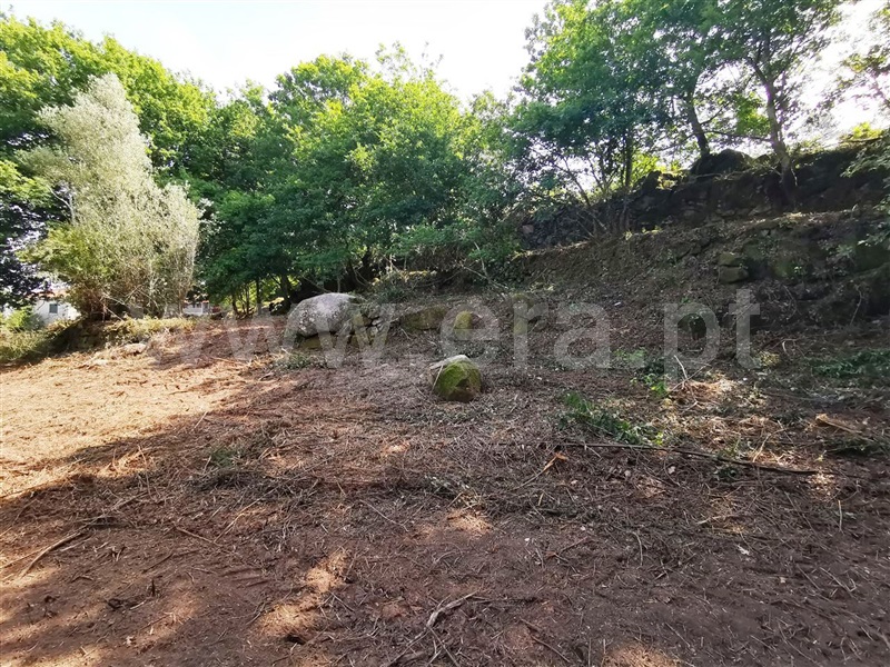 Quinta  Póvoa de Lanhoso, Garfe - 964954 - 10