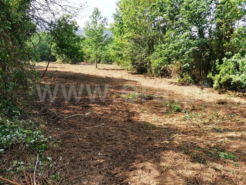 Quinta  Póvoa de Lanhoso, Garfe - 964954 - 13