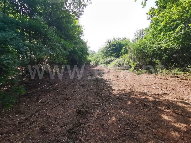 Quinta  Póvoa de Lanhoso, Garfe - 964954 - 17
