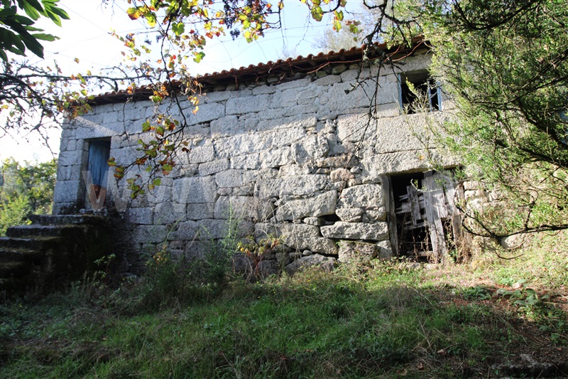 Quinta / Póvoa de Lanhoso, Serzedelo