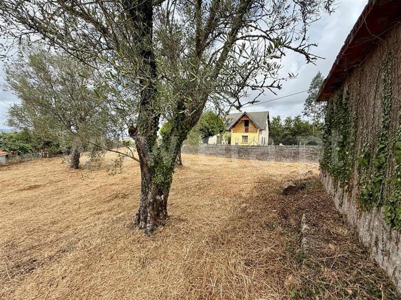 Quinta  Póvoa de Lanhoso, Sobradelo da Goma - 1501082 - 18