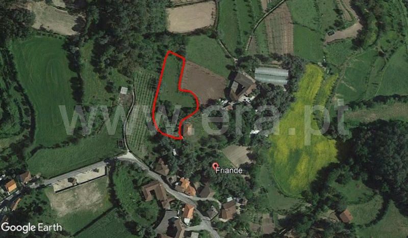 Quinta  Póvoa de Lanhoso, Friande - 539369 - 20
