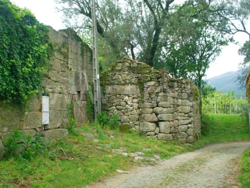 Quinta  Póvoa de Lanhoso, Friande - 539369 - 2