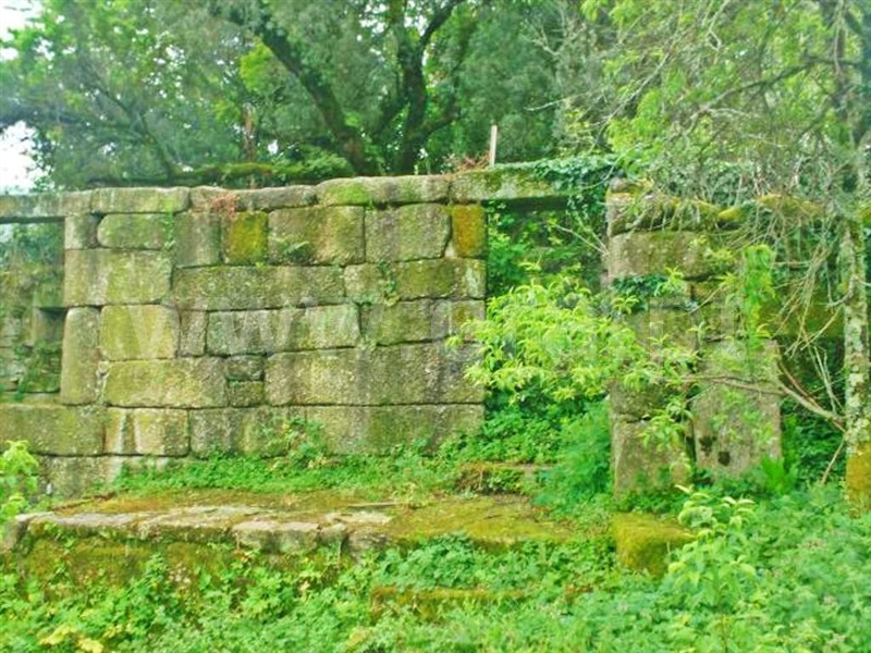 Quinta  Póvoa de Lanhoso, Friande - 539369 - 8