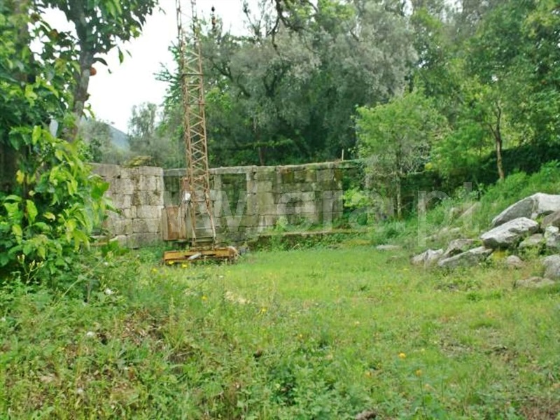Quinta  Póvoa de Lanhoso, Friande - 539369 - 12