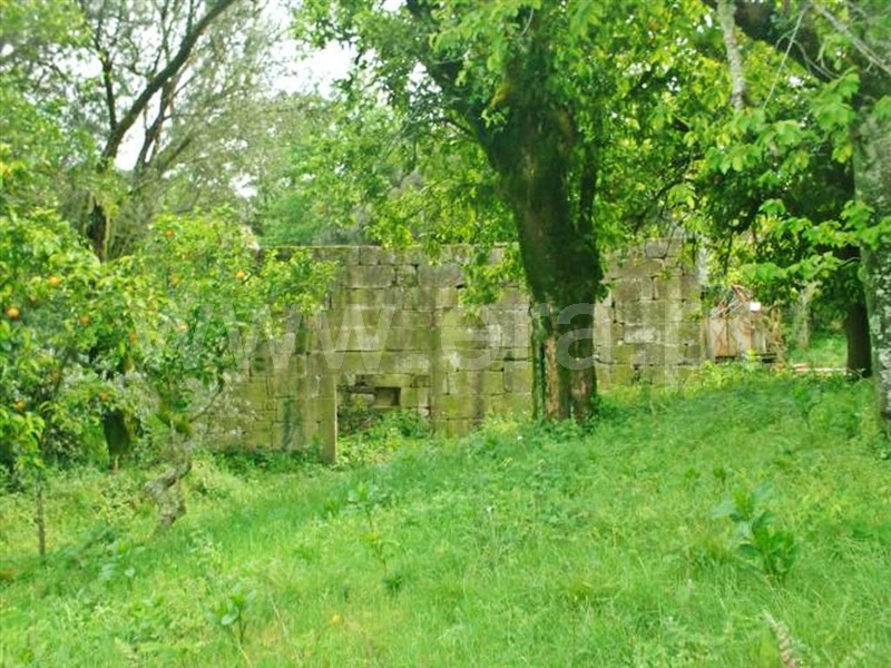 Quinta  Póvoa de Lanhoso, Friande - 539369 - 13