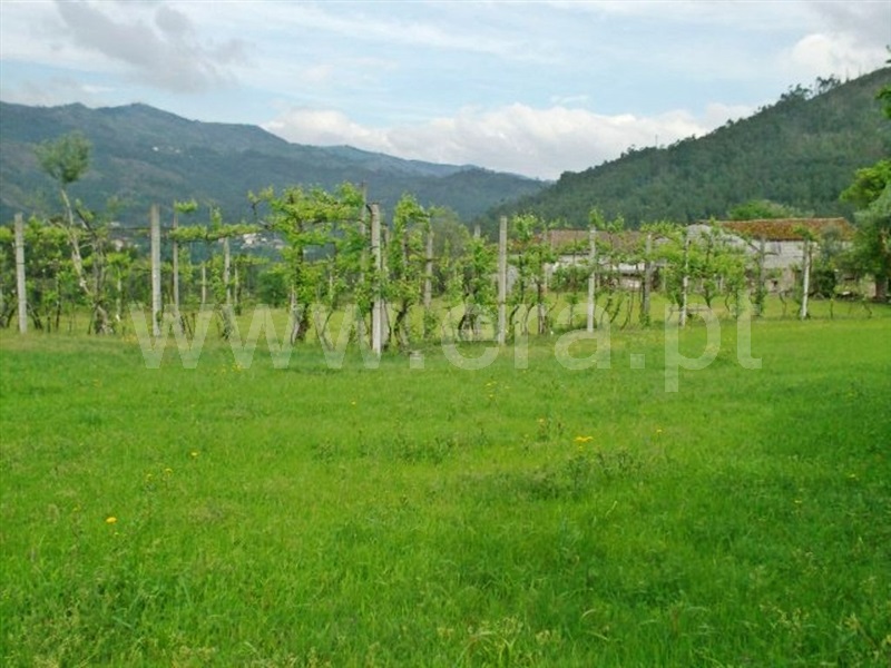 Quinta  Póvoa de Lanhoso, Friande - 539369 - 15