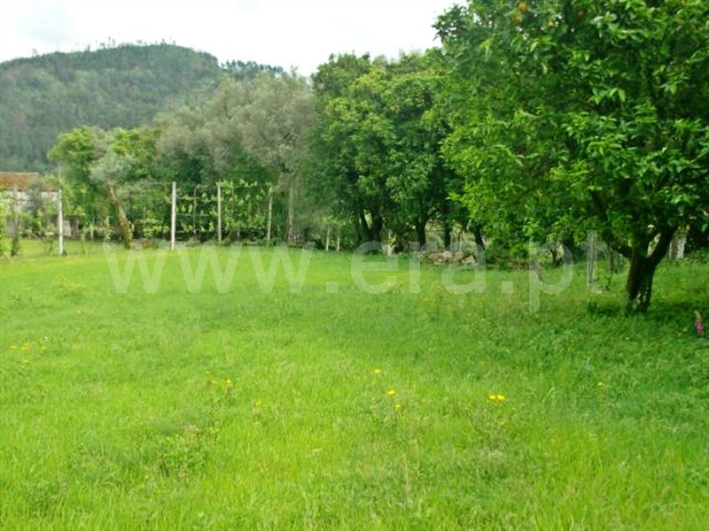 Quinta  Póvoa de Lanhoso, Friande - 539369 - 16
