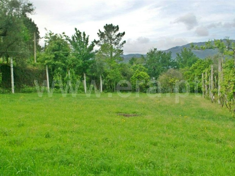 Quinta  Póvoa de Lanhoso, Friande - 539369 - 17