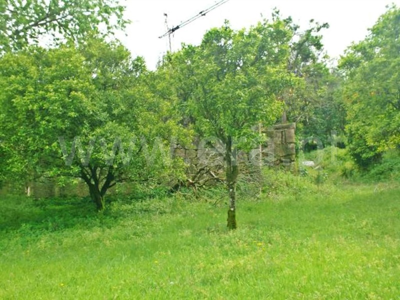 Quinta  Póvoa de Lanhoso, Friande - 539369 - 18