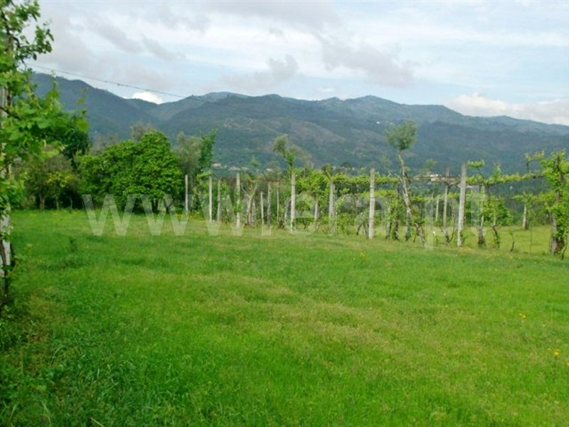 Quinta  Póvoa de Lanhoso, Friande - 539369 - 20