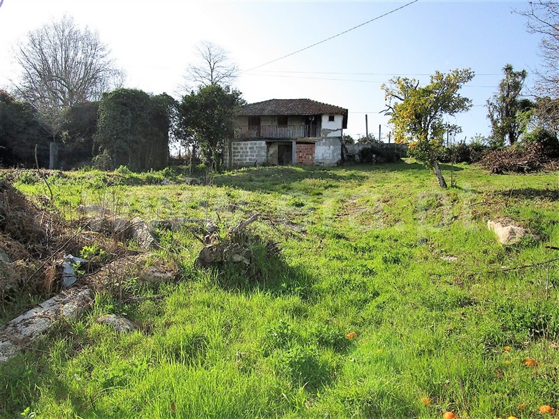 Quinta / Póvoa de Lanhoso, Vilela