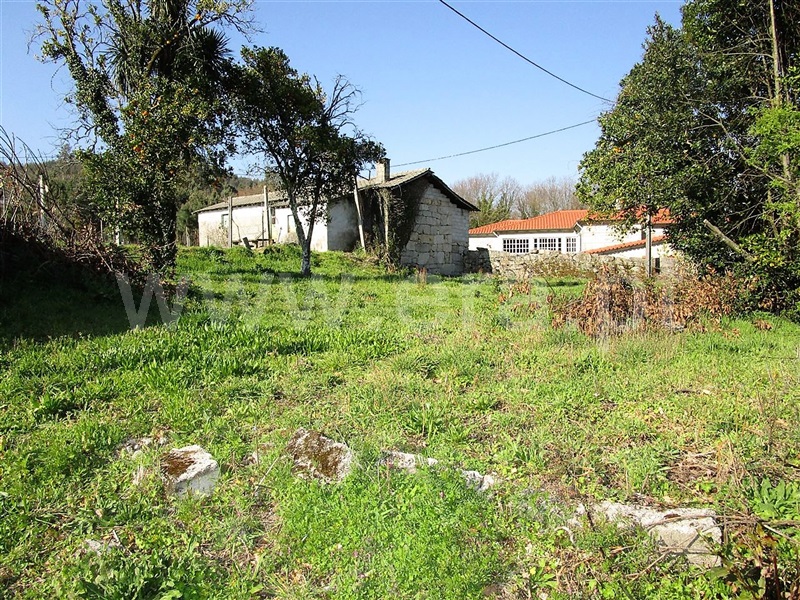 Quinta  Póvoa de Lanhoso, Vilela - 904831 - 5