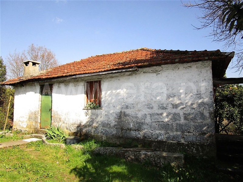 Quinta  Póvoa de Lanhoso, Vilela - 904831 - 6