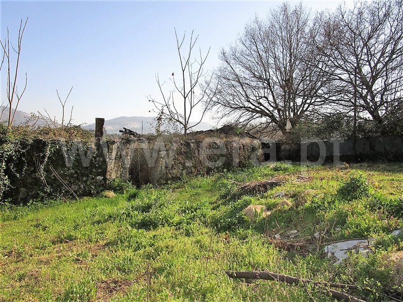 Quinta  Póvoa de Lanhoso, Vilela - 904831 - 11