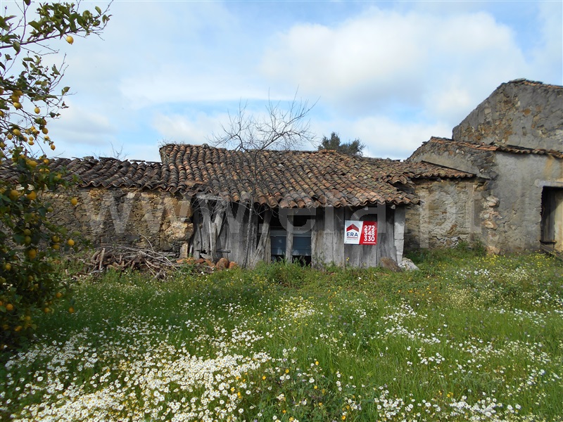 Quinta  Proença-a-Nova, Chão do Galego - 1072251 - 2