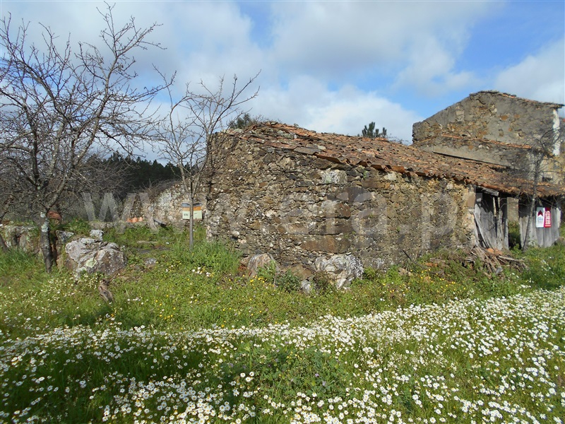 Quinta  Proença-a-Nova, Chão do Galego - 1072251 - 3