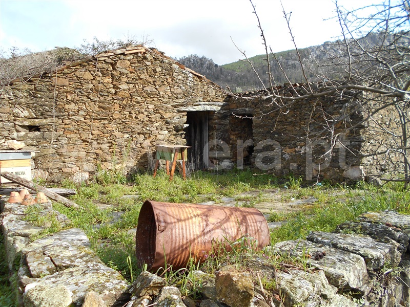 Quinta  Proença-a-Nova, Chão do Galego - 1072251 - 4