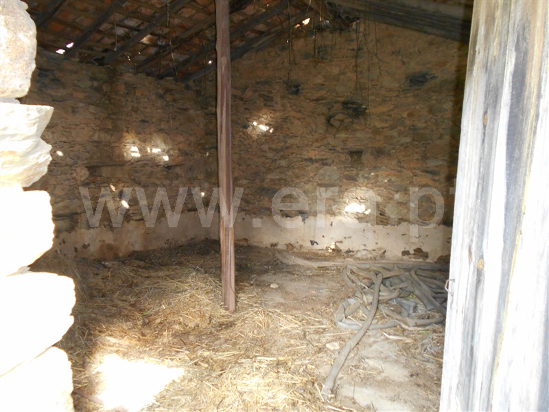 Quinta  Proença-a-Nova, Chão do Galego - 1072251 - 6