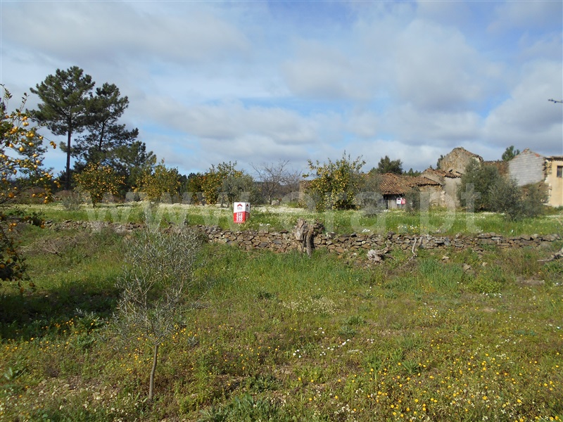 Quinta  Proença-a-Nova, Chão do Galego - 1072251 - 10