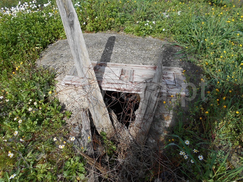 Quinta  Proença-a-Nova, Chão do Galego - 1072251 - 12