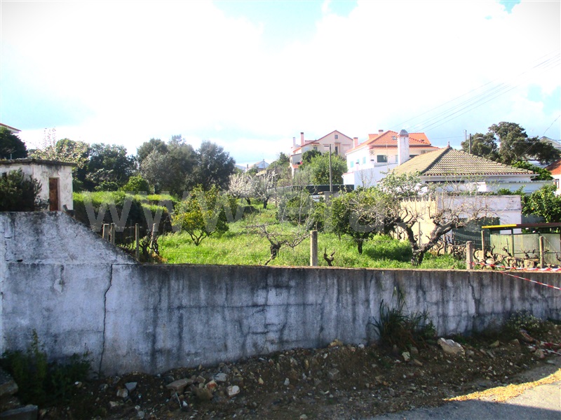 Quinta / Proença-a-Nova, Sobreira Formosa e Alvito da Beira