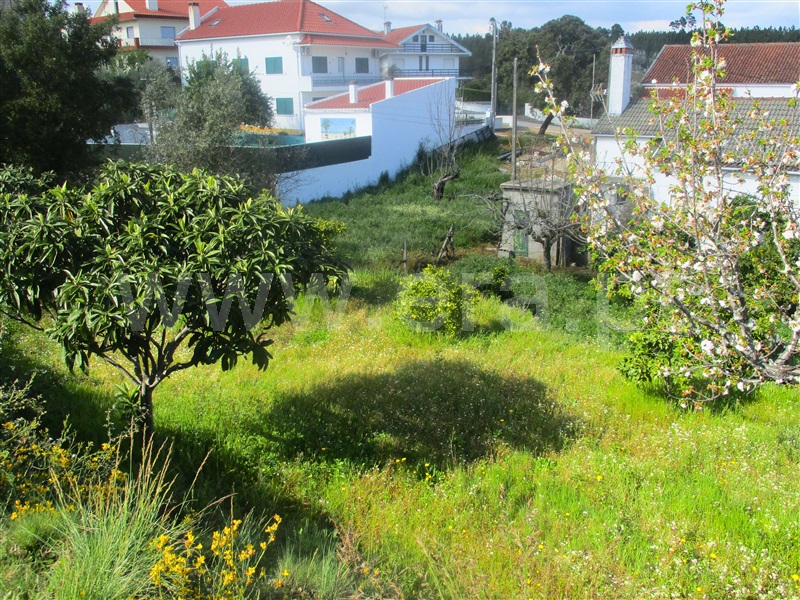 Quinta  Proença-a-Nova, Alvito da Beira - 1399802 - 3