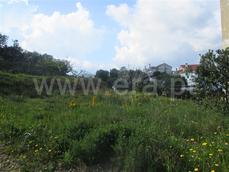 Quinta  Proença-a-Nova, Alvito da Beira - 1399802 - 4