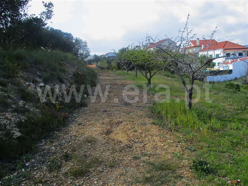 Quinta  Proença-a-Nova, Alvito da Beira - 1399802 - 5