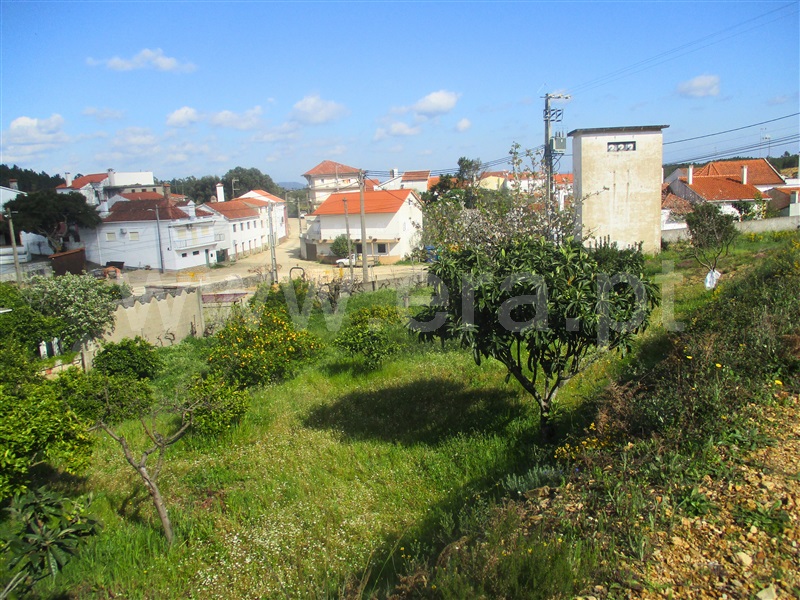 Quinta  Proença-a-Nova, Alvito da Beira - 1399802 - 5