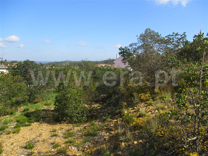 Quinta  Proença-a-Nova, Alvito da Beira - 1399802 - 8