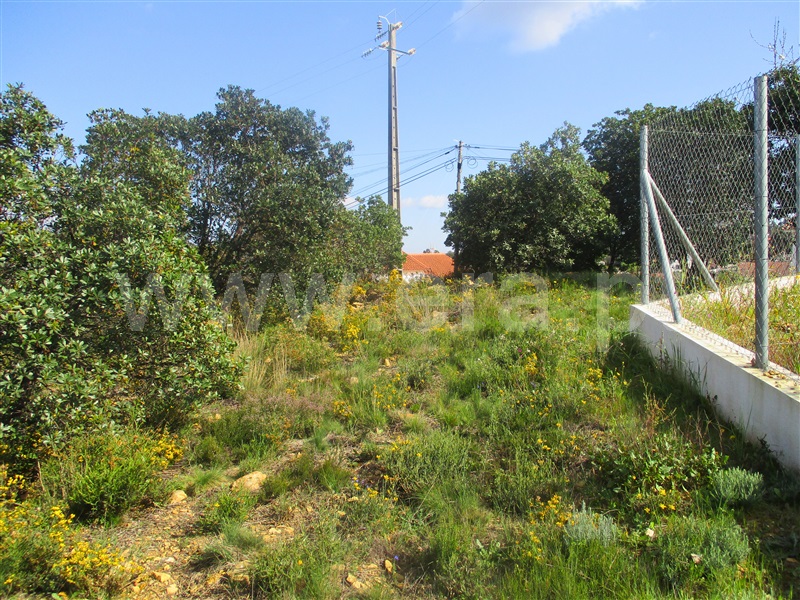 Quinta  Proença-a-Nova, Alvito da Beira - 1399802 - 9