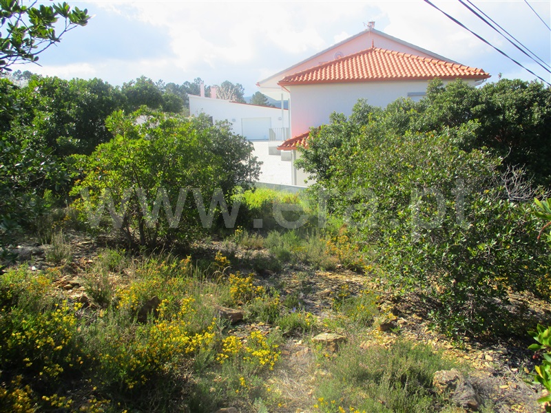 Quinta  Proença-a-Nova, Alvito da Beira - 1399802 - 10