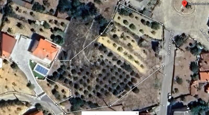 Quinta  Proença-a-Nova, Alvito da Beira - 1399802 - 12