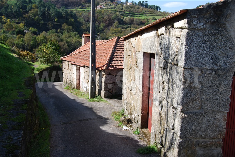 Quinta  Resende, Cárquere - 1455240 - 2