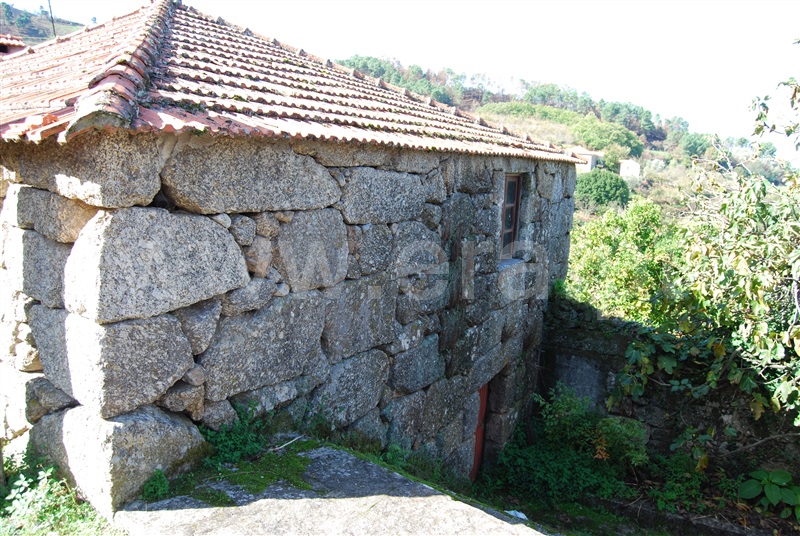 Quinta  Resende, Cárquere - 1455240 - 3