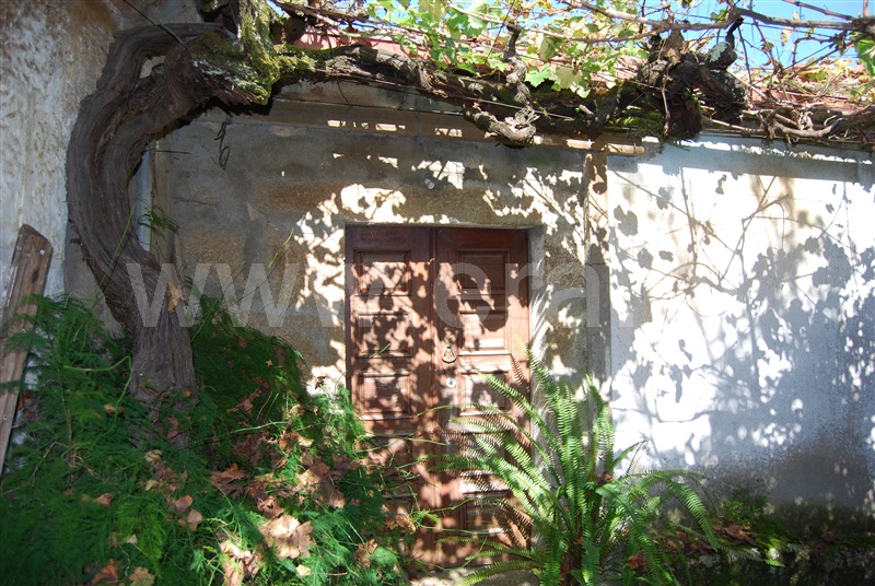 Quinta  Resende, Cárquere - 1455240 - 4