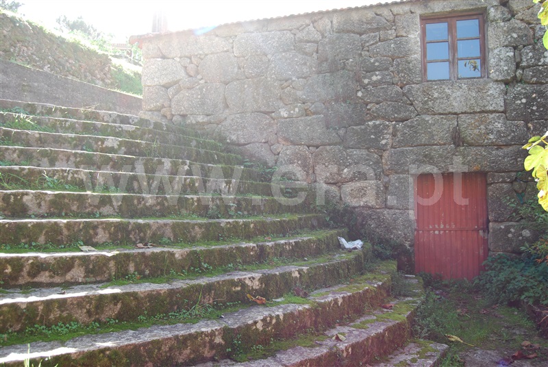 Quinta  Resende, Cárquere - 1455240 - 9