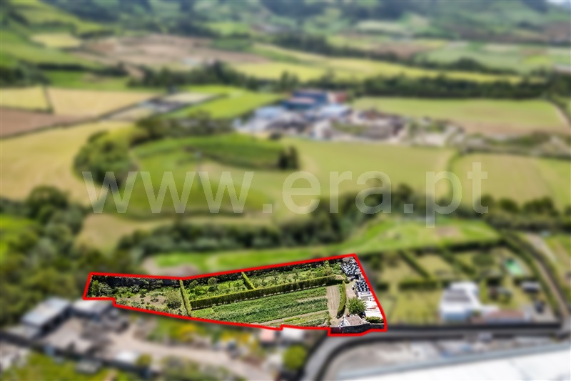 Quinta / Ribeira Grande, Ribeira Grande