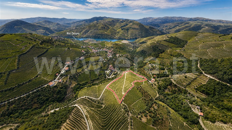 Quinta / Sabrosa, Covas do Douro