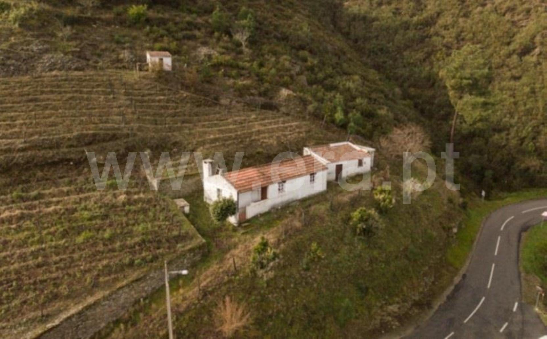 Terreno em Sabrosa