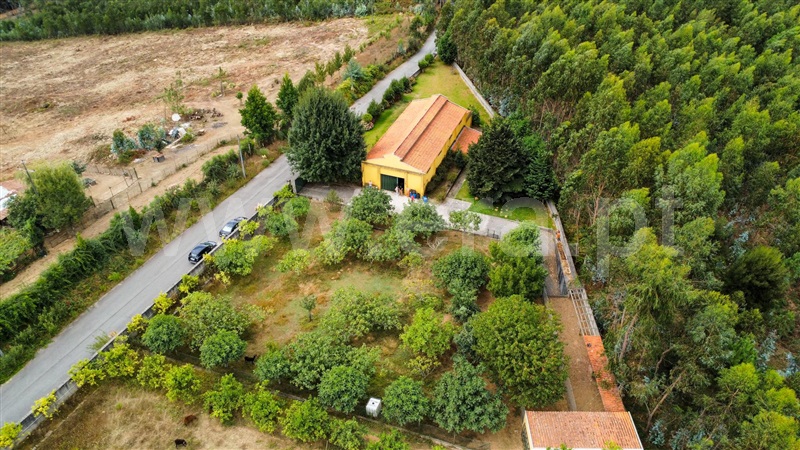 Quinta / Santa Maria da Feira, Canedo, Vale e Vila Maior