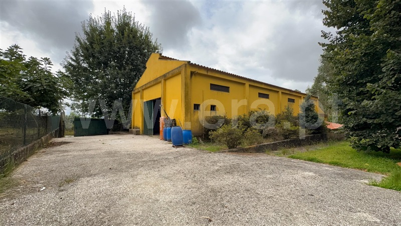 Armazém  Santa Maria da Feira, Canedo, Vale e Vila Maior - 1505465 - 5
