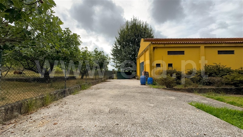 Armazém  Santa Maria da Feira, Canedo, Vale e Vila Maior - 1505465 - 6