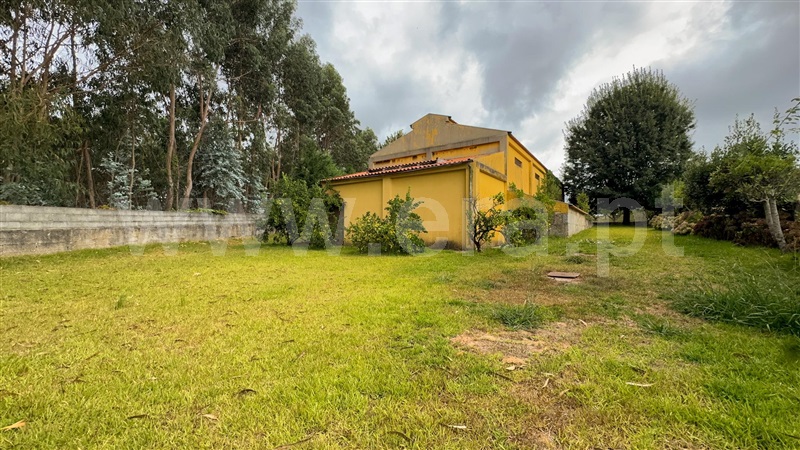Armazém  Santa Maria da Feira, Canedo, Vale e Vila Maior - 1505465 - 8