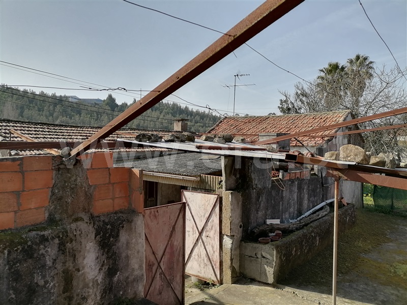 Quinta  Santa Maria da Feira, Lourosa - 1235077 - 10