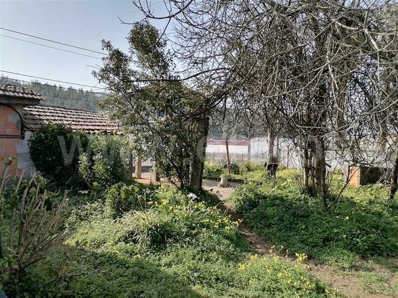 Quinta  Santa Maria da Feira, Lourosa - 1235077 - 12
