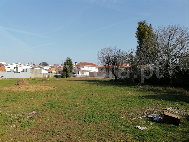 Quinta / Santa Maria da Feira, Lourosa