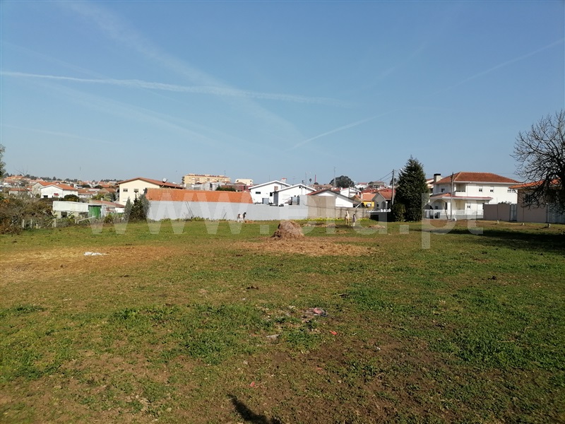 Quinta  Santa Maria da Feira, Lourosa - 1235077 - 21
